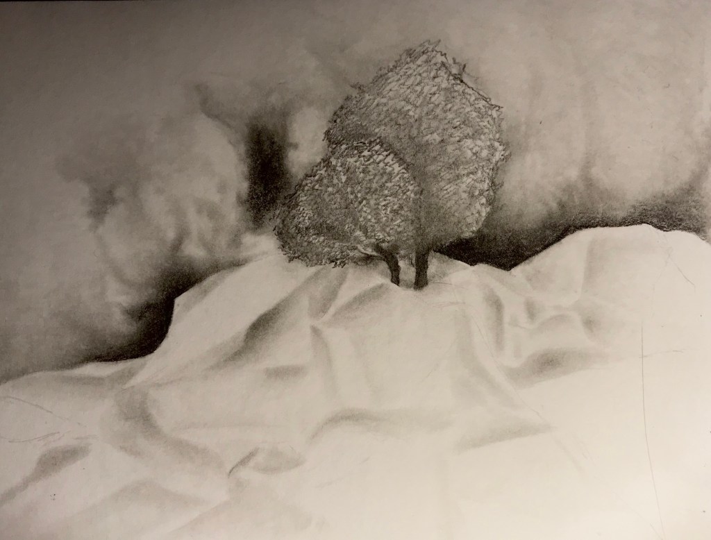 Dessin de deux arbres sur un relief clair aux formes ondulées.