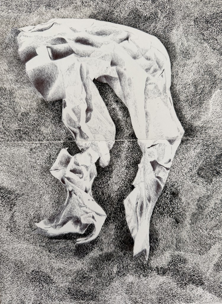 Dessin d’une forme organique fragmentée et courbée